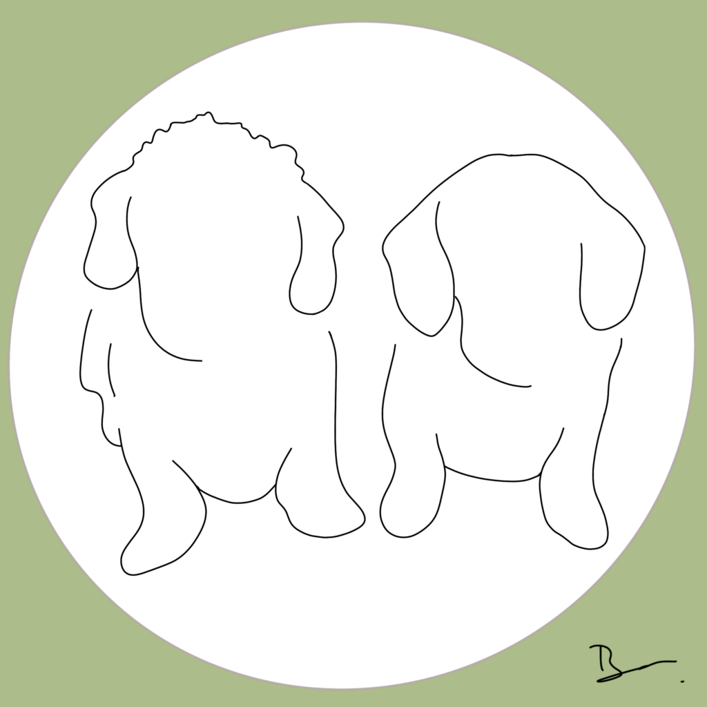 Lijntekening; lineart; digitalart; linedrawing; bophotocreations